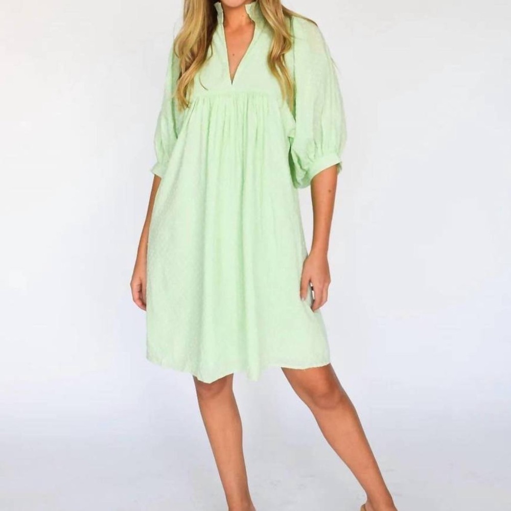 Never A Wallflower High Neck Mini Dress in Mint Swiss Dot Green Size XS